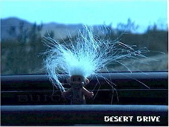 DESERT DRIVE.jpg (30367 bytes)