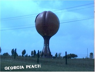 GEORGIA PEACH.jpg (19229 bytes)