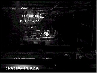 IRVING PLAZA.jpg (23322 bytes)