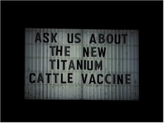 cattle vaccine.jpg (36948 bytes)